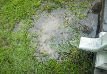 Try One of These Alternatives If You Hate Your Home’s Gutters