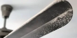 How to Clean a Ceiling Fan (and Why It’s Important)