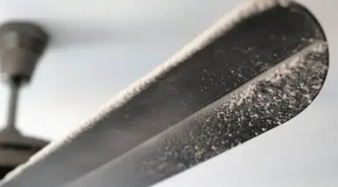 How to Clean a Ceiling Fan (and Why It’s Important)