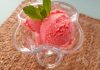 Sugar-Free Fruit Ice Cream