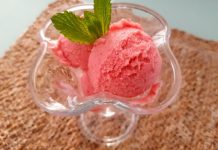 Sugar-Free Fruit Ice Cream