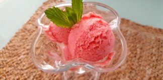 Sugar-Free Fruit Ice Cream