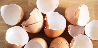 Think twice before you throw away your eggs. Here are 10 brilliant reasons why you should use them in your garden