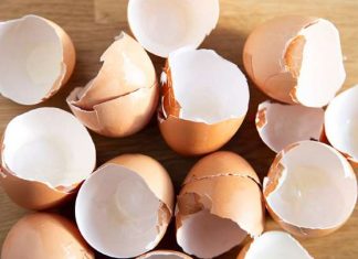 Think twice before you throw away your eggs. Here are 10 brilliant reasons why you should use them in your garden