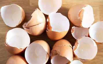 Think twice before you throw away your eggs. Here are 10 brilliant reasons why you should use them in your garden