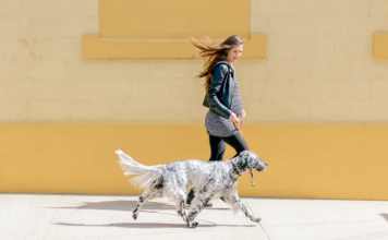 Just 10 Minutes Of Movement Can Increase Focus & Brain Functioning