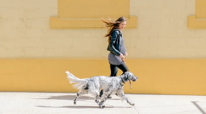 Just 10 Minutes Of Movement Can Increase Focus & Brain Functioning