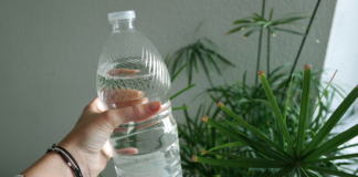 White vinegar isn’t just for cooking. Here are 12 uses for the garden