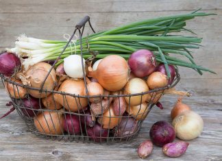 What you are supposed to do with the different types of onions