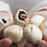 How to freeze mushrooms for winter, best recipes