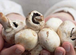 How to freeze mushrooms for winter, best recipes