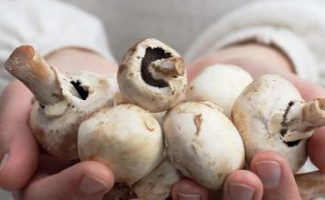 How to freeze mushrooms for winter, best recipes