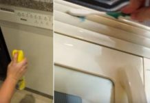 Make your appliances shine with these easy cleaning tips