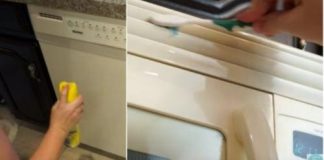 Make your appliances shine with these easy cleaning tips