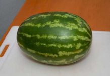 6 characteristics that indicate a watermelon should be left on the shelf