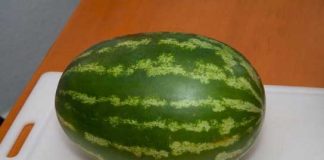 6 characteristics that indicate a watermelon should be left on the shelf
