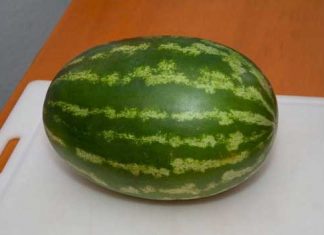 6 characteristics that indicate a watermelon should be left on the shelf