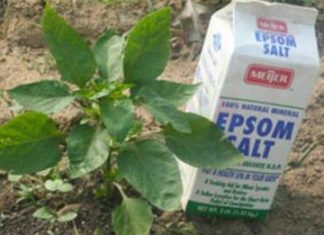 10 Ways Epsom Salt Can Help You Outdoors