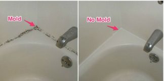 Best way to remove mold and stains from shower and tub caulking