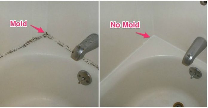 Best way to remove mold and stains from shower and tub caulking - Cleaning & Household 2024 | PopcornTime