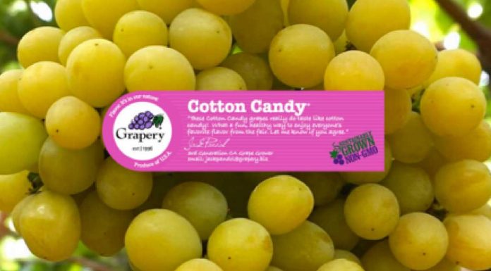 Cotton Candy Grapes Are Coming To A Store Near You — Here’s Where
