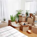 How to declutter your entire house with the “1-Day Dump” method?