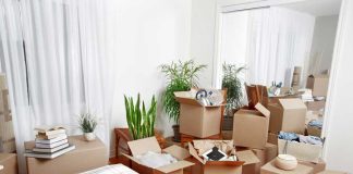 How to declutter your entire house with the “1-Day Dump” method?