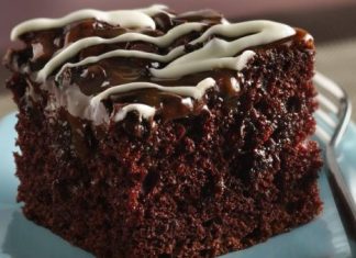 Chocolate Cake Recipe – No Eggs, Milk, Butter, Or Bowls Required