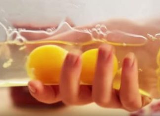 Check out this brilliant new way to make omelets!