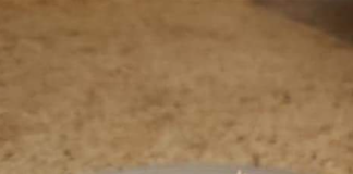 Heavenly Chocolate Delight