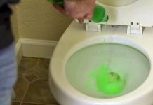 handyman pours dish soap into toilet – when he shows why? I Ran to try it!