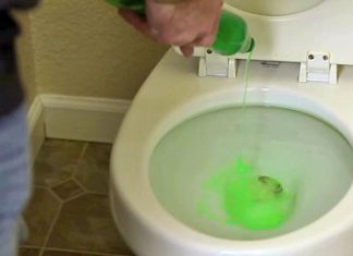 handyman pours dish soap into toilet – when he shows why? I Ran to try it!