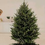 The ‘Correct’ Way To Hang Christmas Tree Lights