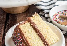 Yellow Cake with Double Fudge Frosting