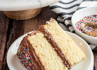 Yellow Cake with Double Fudge Frosting