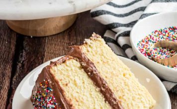 Yellow Cake with Double Fudge Frosting