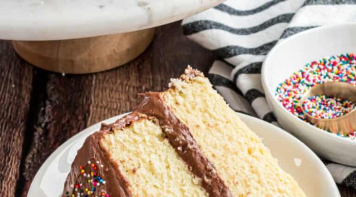 Yellow Cake with Double Fudge Frosting