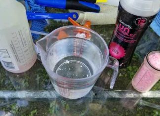 Helpful Tips For Keeping A Fresh-Smelling Home