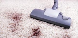 8 foods that are incredible natural cleaners