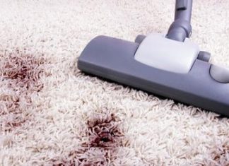 8 foods that are incredible natural cleaners