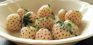 Introducing the Pineberry: A strawberry that tastes like a pineapple!