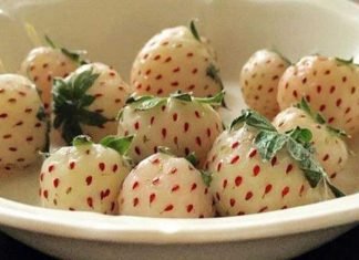 Introducing the Pineberry: A strawberry that tastes like a pineapple!