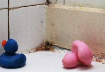 4 Ways To Get Rid Of Mold Without Having To Call A Professional