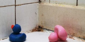 4 Ways To Get Rid Of Mold Without Having To Call A Professional