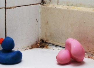 4 Ways To Get Rid Of Mold Without Having To Call A Professional