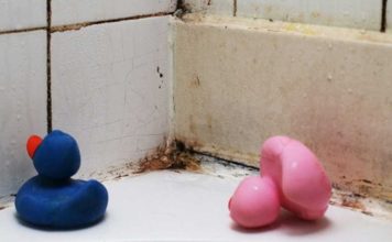 4 Ways To Get Rid Of Mold Without Having To Call A Professional