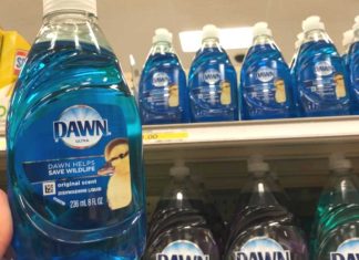25 uses for blue dawn that have nothing to do with dishwashing