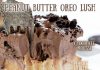 Peanut Butter Oreo Dessert