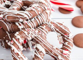 Chocolate Covered Peppermint Pretzels