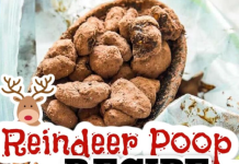 Reindeer Poop
